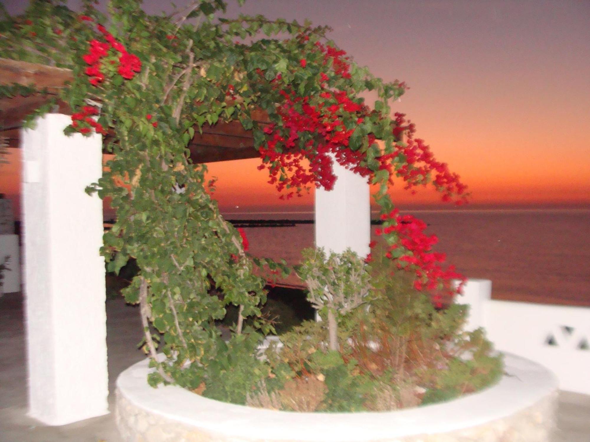Apartament Παραθιν Αλοσ 2 Skyros Zewnętrze zdjęcie